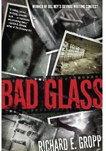Bad Glass by Richard E. Gropp (book review).