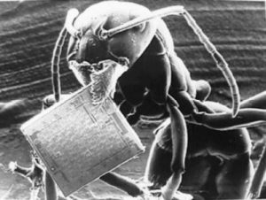 ant-and-microchip