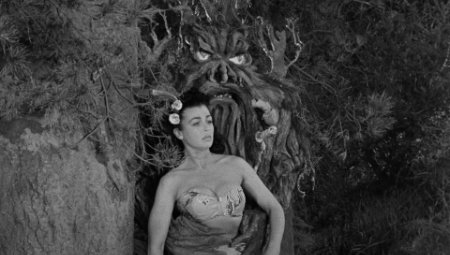 From Hell it Came (1957) (film retrospective).