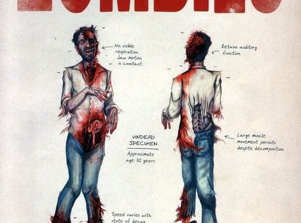 Zombie: A Record of the Year of Infection