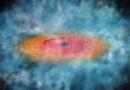 Black holes for nothing and your nebula for free.