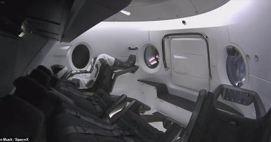 SpaceX's Dragon crew capsule successfully docks with space station.