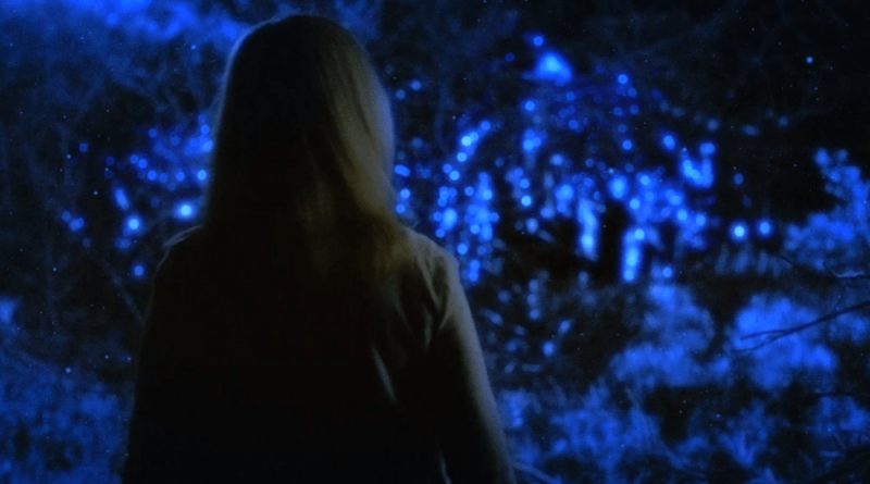 The Beach House (horror film: trailer).