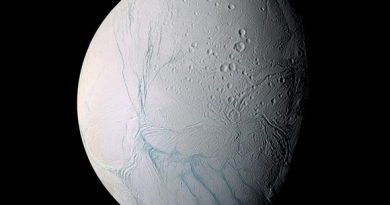 Why simple life in our solar system may still be found (science video).