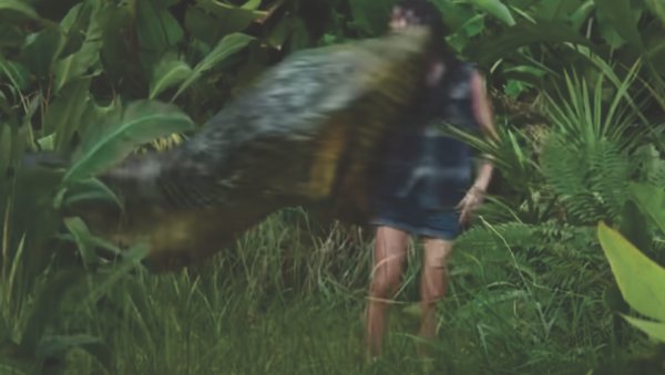 Anaconda: Paul Rudd, Jack Black and a really big snake crash Christmas 2025 (trailer).