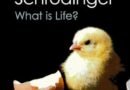 What Is Life? by Erwin Schrödinger  (book review)