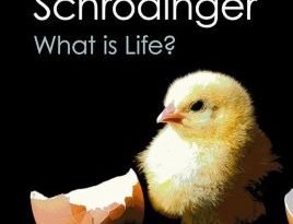 What Is Life? by Erwin Schrödinger  (book review)