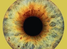 Being You: A New Science Of Consciousness by Anil Seth  (book review)