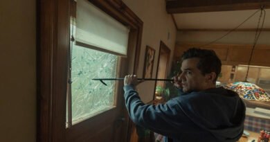 The Last House movie