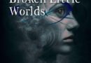 These Broken Little Words (Polestars 13) by E.M. Faulds (book review).